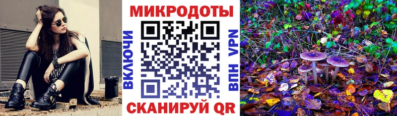 купить наркотики сайты  MEGA ССЫЛКА  Галлюциногенные грибы MAGIC MUSHROOMS  Светлый 